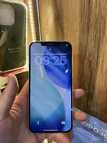 IPhone 12 Pro Max, 256 ГБ, Серебристый