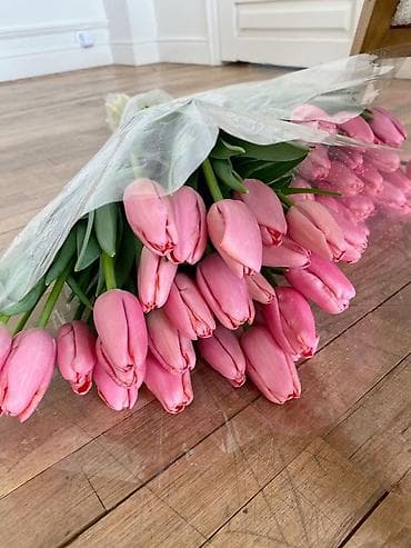 цветы бишкек комнатные: Тюльпаны срезанные — авторские букеты и мини-композиции - — 2