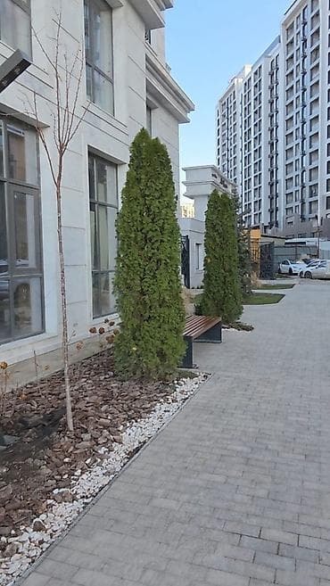 art square: 2 комнаты, 47 м², Элитка, 4 этаж, Евроремонт — 4