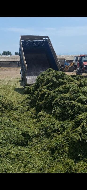 сухой корм для кошек оптом: Продаю сенаж отличного качества с чистой подвяленной люцерны, росыпью — 4