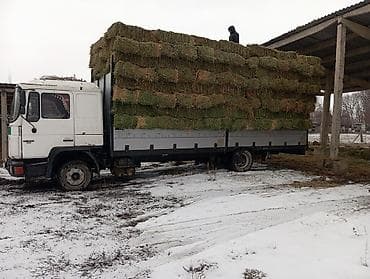 А/ч жаныбарлары үчүн тоюттар: Ассаламуалейкум Жаамат Ман 14.272 Объем 7 куп Жылы 1996 Болондору — 2