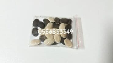 семечка тыквы: Семена овощей: Люффа, Самовывоз — 3