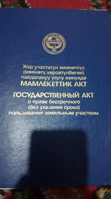 Государственный акт о праве бессрочного (без указания срока)