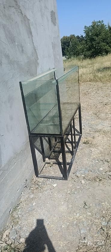 Продам аквариум 450 литров дно лопнуло 5000 окончательно с тумбой at lalafo.kg Продам аквариум 450 литров дно лопнуло 5000 окончательно с тумбой