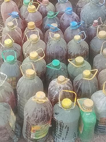 кондитерское оборудование: ИСО известково серный отвар бул бак даракка себилүүчү органикалык — 8