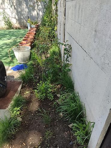 5000 сом кино: Продается дом на участке 18 соток, возле таможни Кордай, имеется — 9