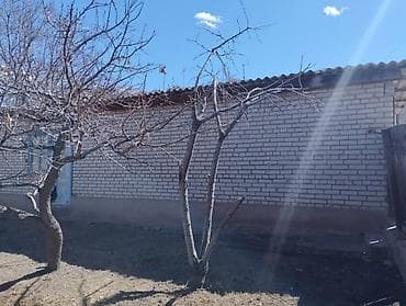 балыкчы гостевые дома: Продается кирпичный дом с приусадебным участком.
Имеется гараж — 4