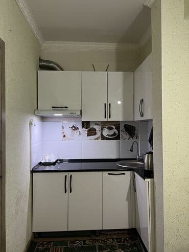дом бишкек аренда: 40 м², 1 комната, Утепленный, Бронированные двери, Балкон застеклен — 4
