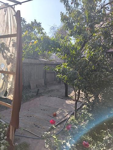 алмашабыз: 2 соток, Бизнес үчүн, Кызыл китеп, Техпаспорт, Сатып алуу-сатуу келишими — 10