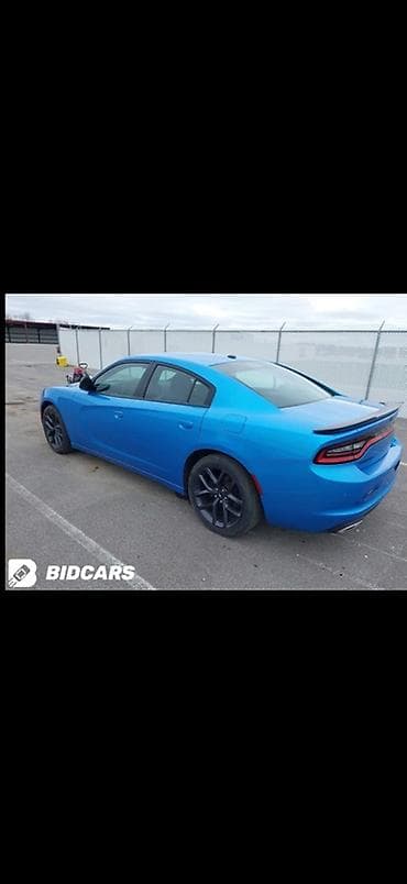start line champion: Dodge Challenger: 2019 г., 3.6 л, Автомат, Бензин, Седан — 9