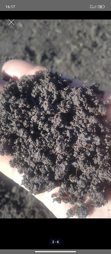 Сейфы: В тоннах, Бесплатная доставка, Зил — 2