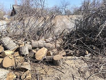 Дрова Орех, Самовывоз