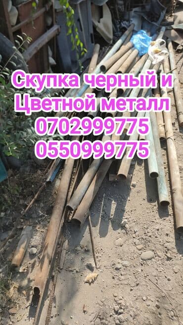СКУПКА ЧЕРНЫЙ МЕТАЛЛ СКУПКА ЧЕРНЫЙ МЕТАЛЛ СКУПКА ЧЕРНЫЙ МЕТАЛЛ СКУПКА