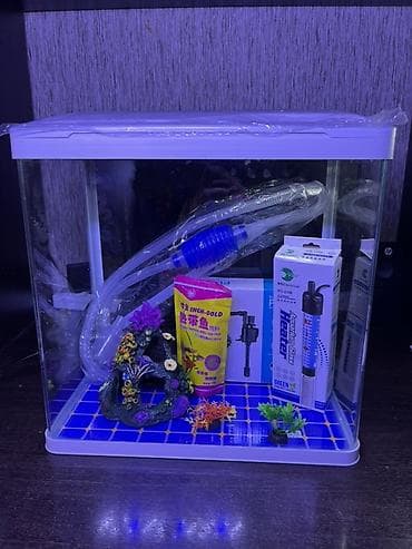 бу аква: Продаю аквариум новый заводской есть фильтр, светильник, сифон для — 2