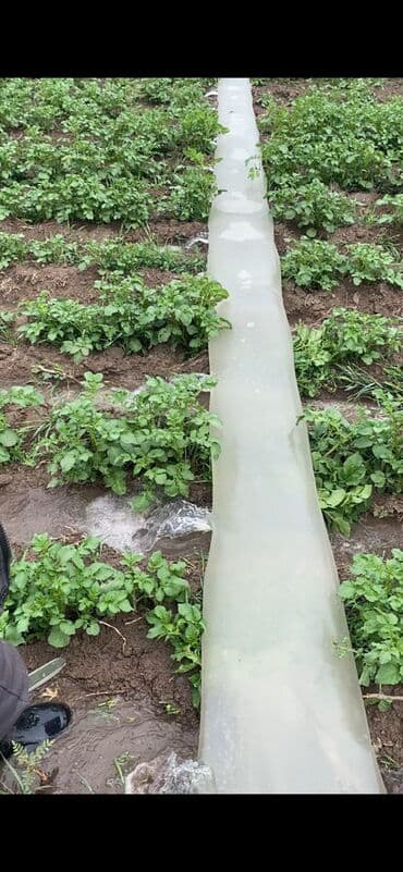 погружной насосы: Шланг 100 м, Новый, Самовывоз, Бесплатная доставка, Платная доставка — 9