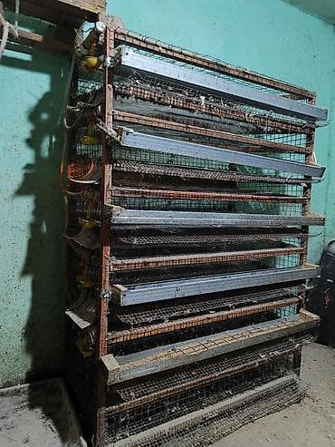 клетка для перепел: Батарея клеток для перепелов/мелкой птицы, многоярусная Описание: - — 4