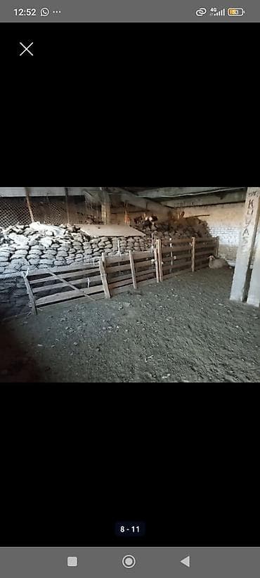 участка сатылат: 10 соток, Айыл чарба үчүн, Кызыл китеп, Техпаспорт — 7