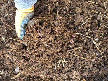 макаруны от сабины бишкек цена: Жер семирткич Гумус, Өзү алып кетүү, Акылуу жеткирүү — 4