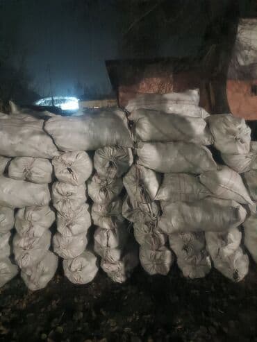 дерево сакуры: Дрова — 1