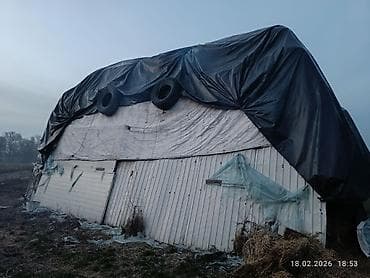 люцерна тюки: Сено/люцерна в тюках — оптом - Предлагается партия тюкованного сена — 2