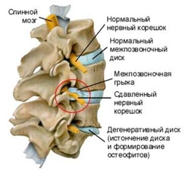 медицинский массаж курсы: Врачи | Костоправ | Консультация, Диагностика — 2