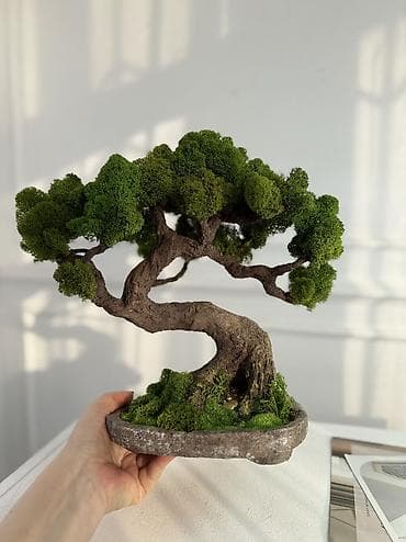 study lamp: Миниатюрная Интерьерная Композиция Декор для дома и офиса «Бонсай» из — 1