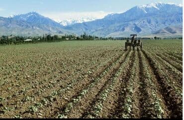 участок для сельского хозяйства чуй ак сай: 400 соток, Для сельского хозяйства — 1