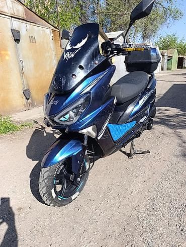 tcl 200: Тип скутера 175 куб. см, Бензин, Б/у — 3