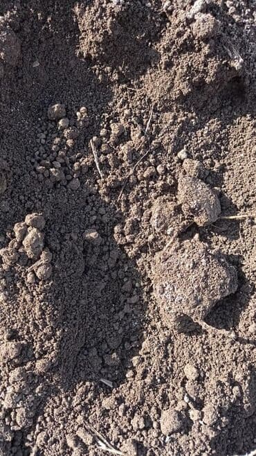 садовая тачка цена: В тоннах, Бесплатная доставка, Зил — 2