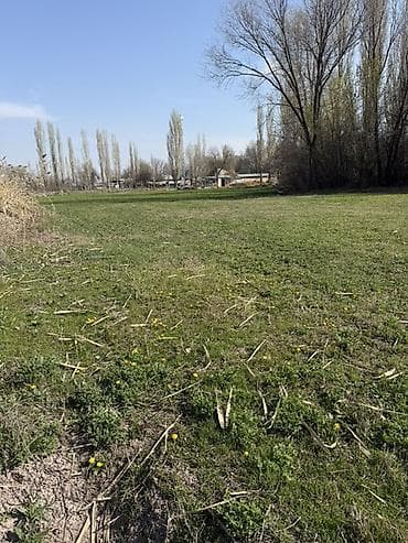 учкун2 участок: 62 соток, Для строительства, Красная книга — 9