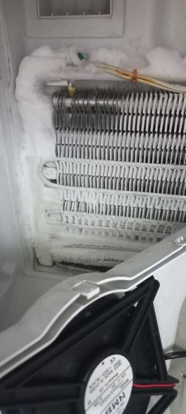 текен: Саламатсызбы кардар биз холодильник ондоо боюнча мыкты адиспиз — 5