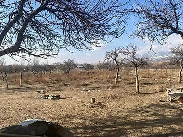 Продажа домов: Зелёный книга живи сам сейчас — 3