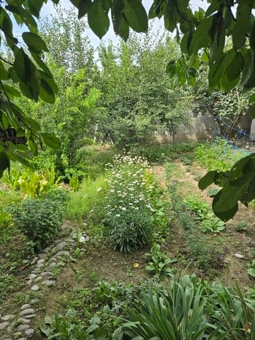 недвижимость в новопокровке: Дом, 6 м², 5 комнат, Собственник, Косметический ремонт — 17