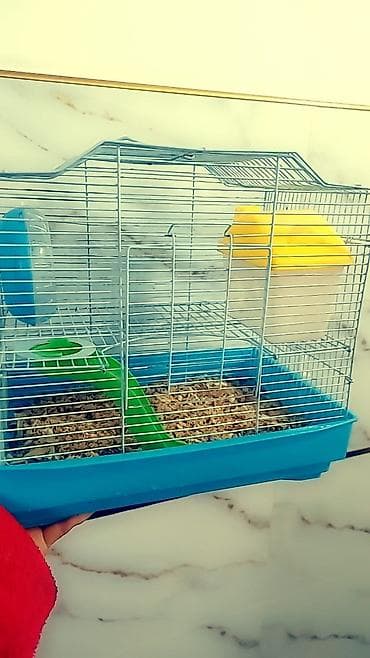 коне корсе: Клетки для хомячков от 400 до 1200 сом — 10