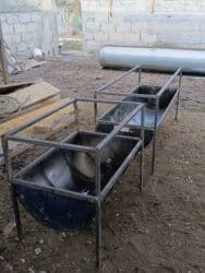 продажа щенков немецкой овчарки с документами в бишкеке: Койлорго Аштоолор сатылат самодельный." металл турбо квадрат", "3x2 — 5