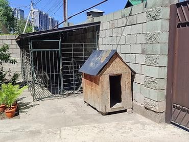 Беседка Дерево