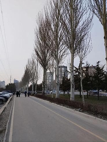 pro group: 1 комната, 53 м², Элитка, 3 этаж, Евроремонт — 9