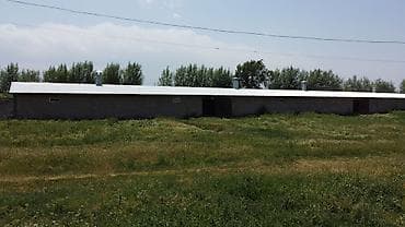 город талас: Продаются 2 кашары с чабанским домом. - Для КРС, МРС и откорма — 6