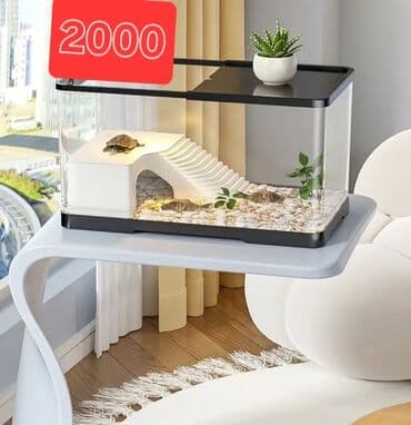 Продается аквариум - террариум. Новый