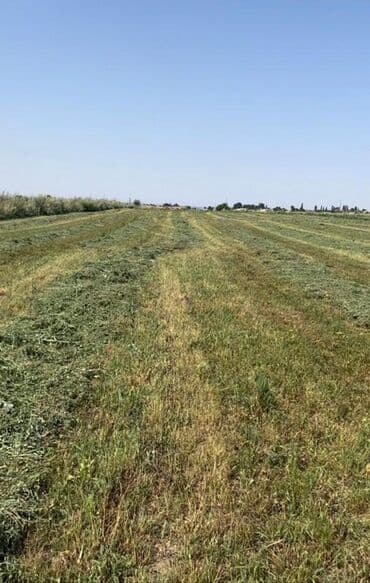 265 соток, Для сельского хозяйства, Тех паспорт