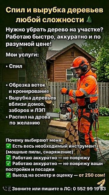 Спил и вырубка деревьев любой сложности Профессиональные услуги по