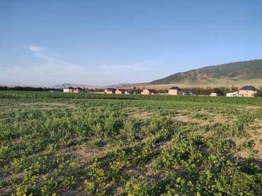 ищу участок: 18 соток — 1