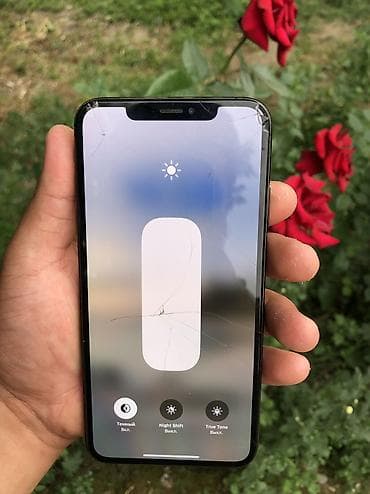 IPhone Xs Max, Б/у, 64 ГБ, Черный, 100 %