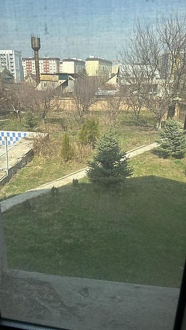 Другие услуги: Уборка территории, Уборка двора и сада — 4