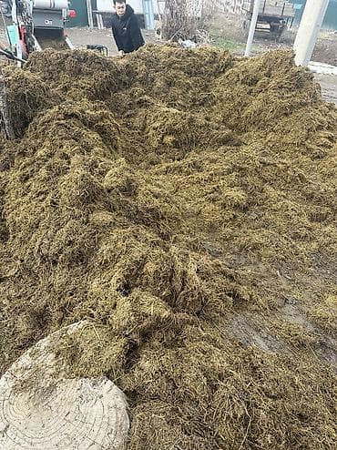 силос милянфан: Сенаж — 1