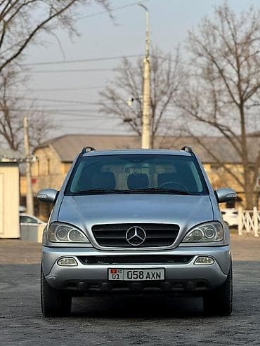 Mercedes-Benz M-Class: 2002 г., 3.2 л, Автомат, Кроссовер