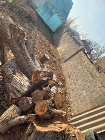 купить дрова в мешках: Дрова Самовывоз — 2