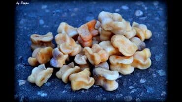 Продаю альчики цена за штуку г.Кант