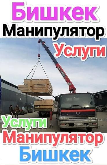 Манипулятор, 2024 г., 5 т