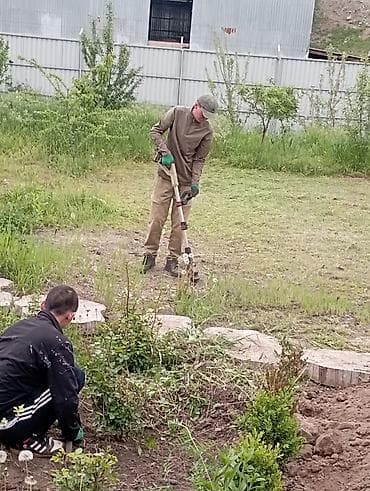 Уборка территории, Уборка двора и сада, Уход за деревьями
